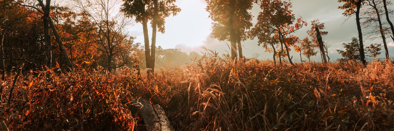 GraysonWhitted's profile banner image