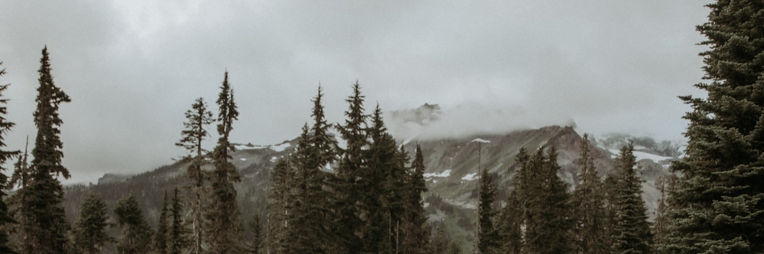irwinally's profile banner image