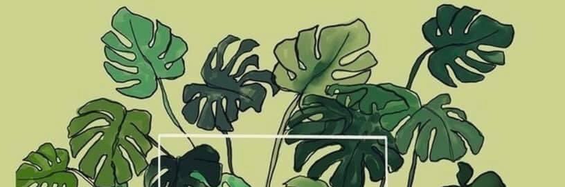 lsmith2019's profile banner image
