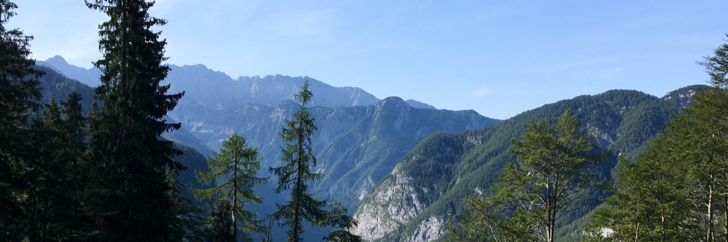 Reiseschinken banner