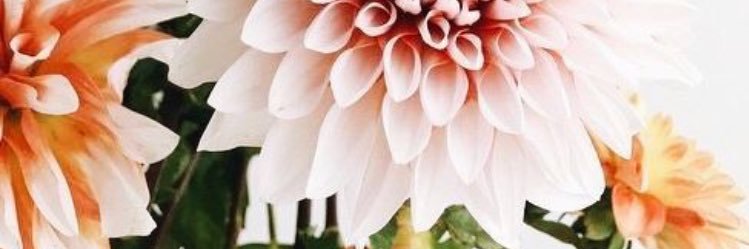 kickash4's profile banner image