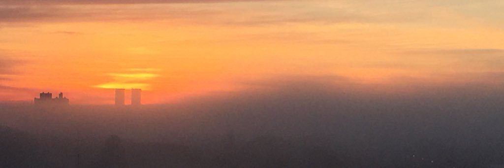roneichiarandi's profile banner image