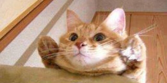 TristonTheAweso's profile banner image