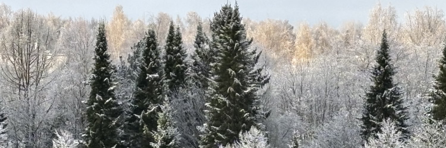 Maria Passi-Trygg banner