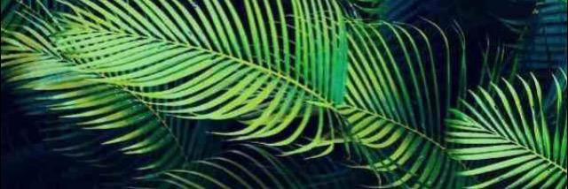 RobynDurham's profile banner image