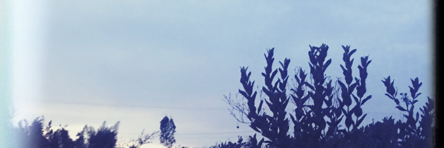 mariodecadente's profile banner image