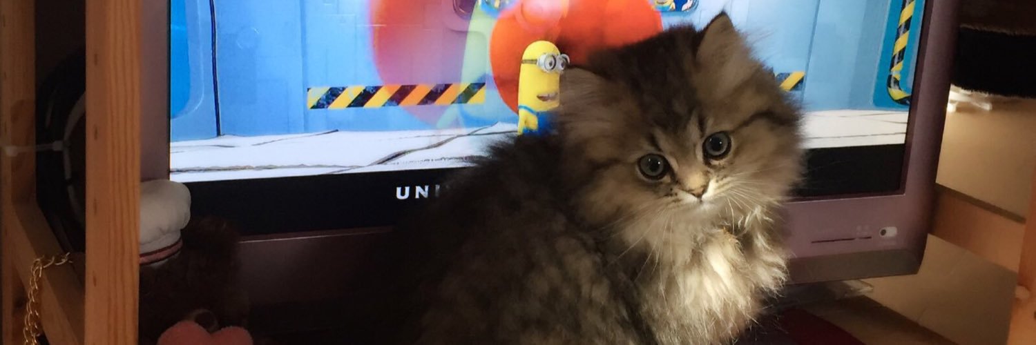 S2nenee's profile banner image