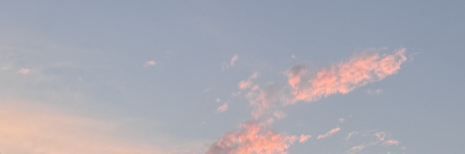 npwx__'s profile banner image