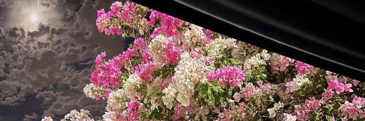 pinkyyseo's profile banner image