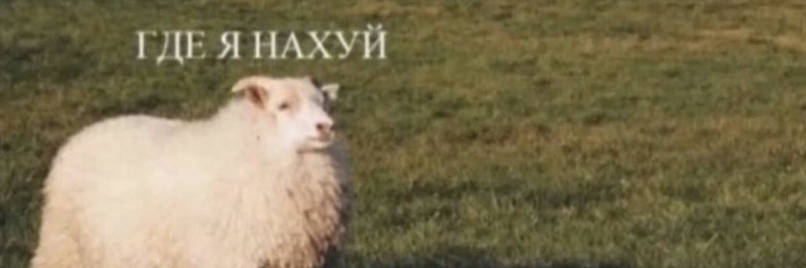 фрито фрито banner
