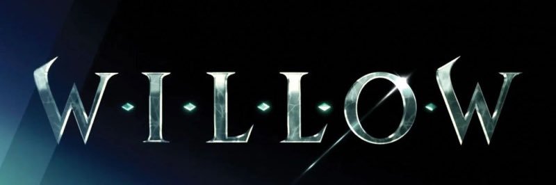 Warwick Davis banner