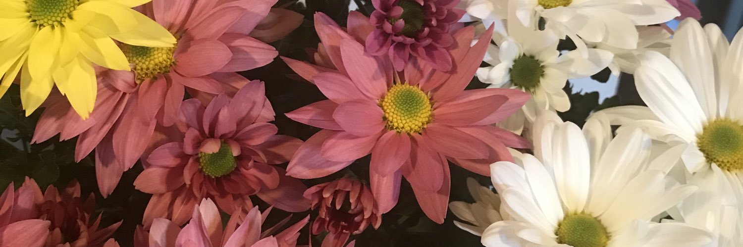 MomSkater2's profile banner image