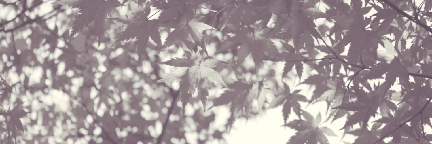 a1092106's profile banner image