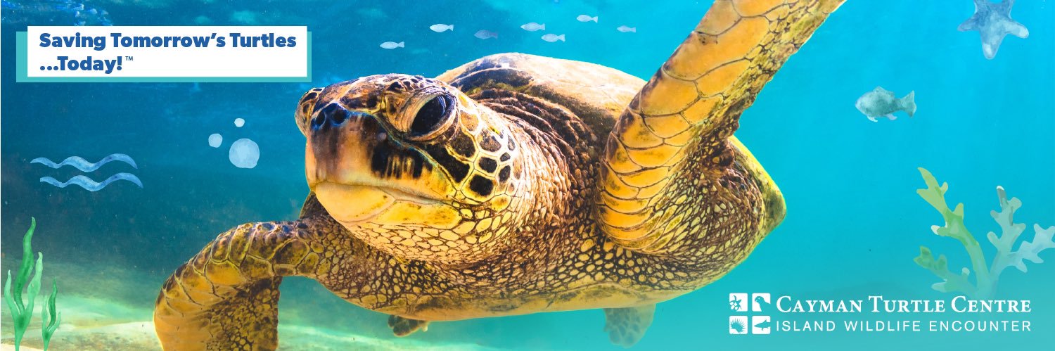 Cayman Turtle Centre banner