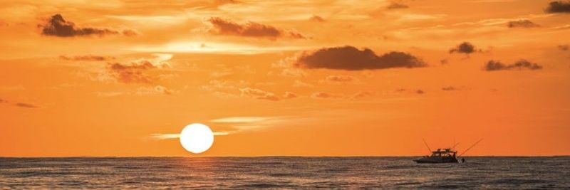 def_rise's profile banner image