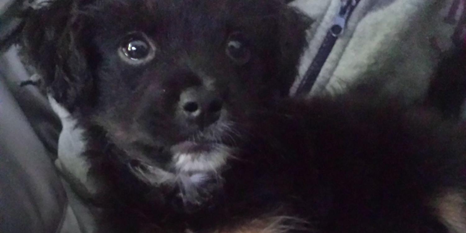 SusanLeonardoG's profile banner image