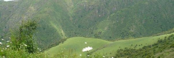 Silvina Ajmat banner