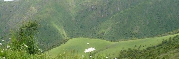 silajmat Profile Banner