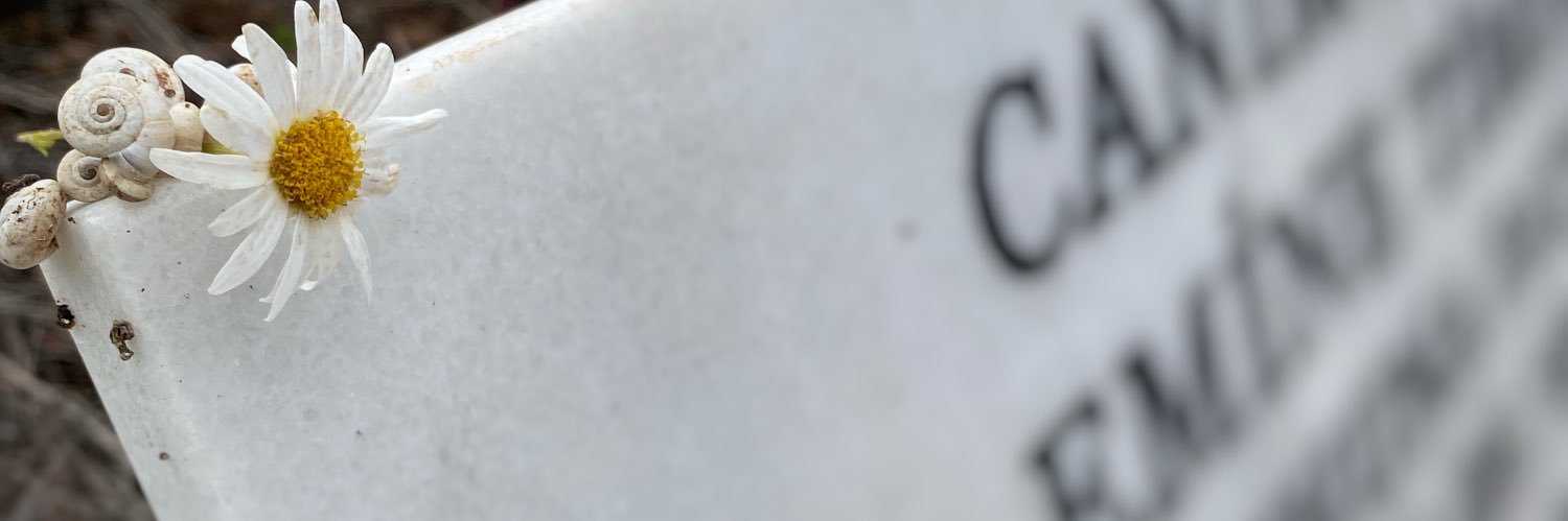 fezabozyel's profile banner image