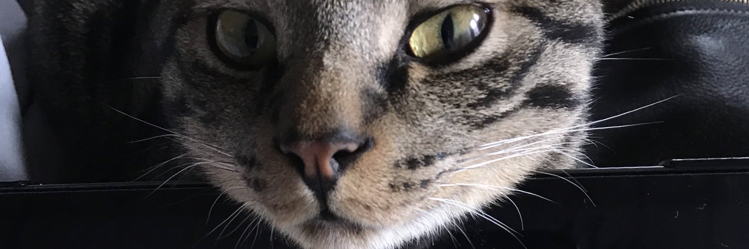 tyanshige's profile banner image