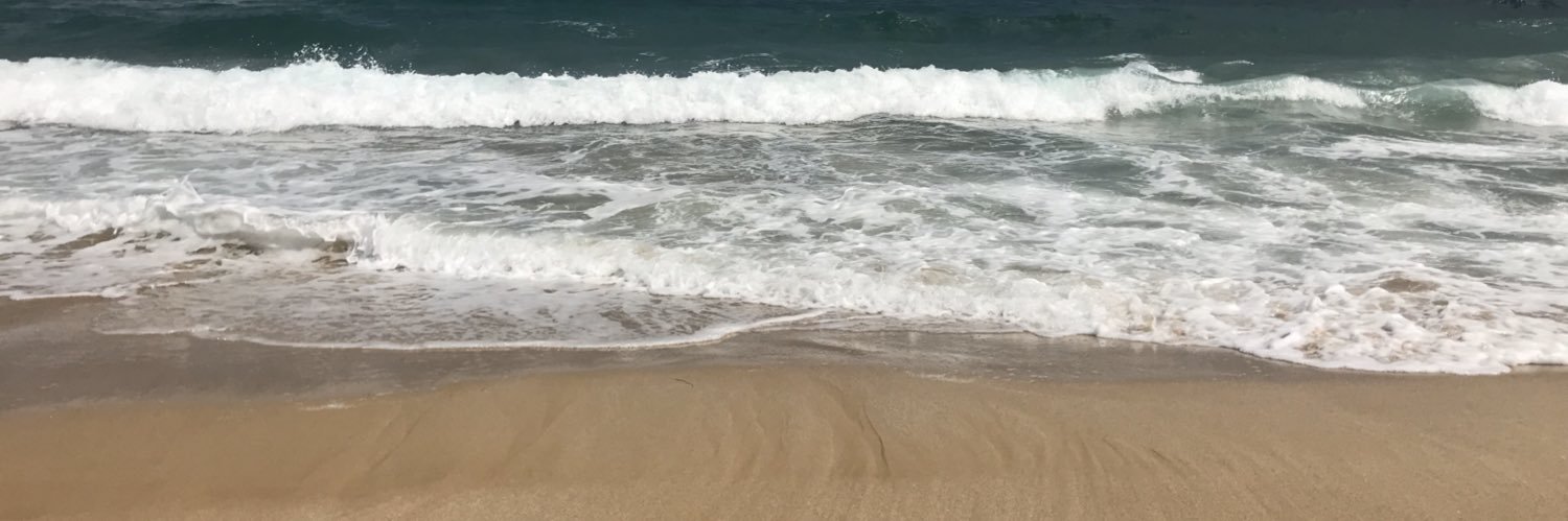 luciegrig's profile banner image