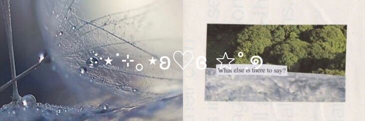 ꒰ᵕ༚ᵕ⑅꒱ banner