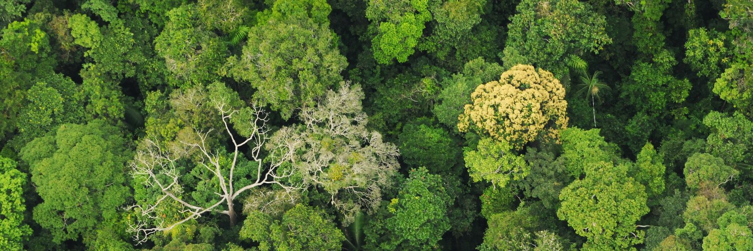Amazon Conservation Team banner