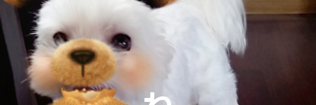 ma0_0ro's profile banner image