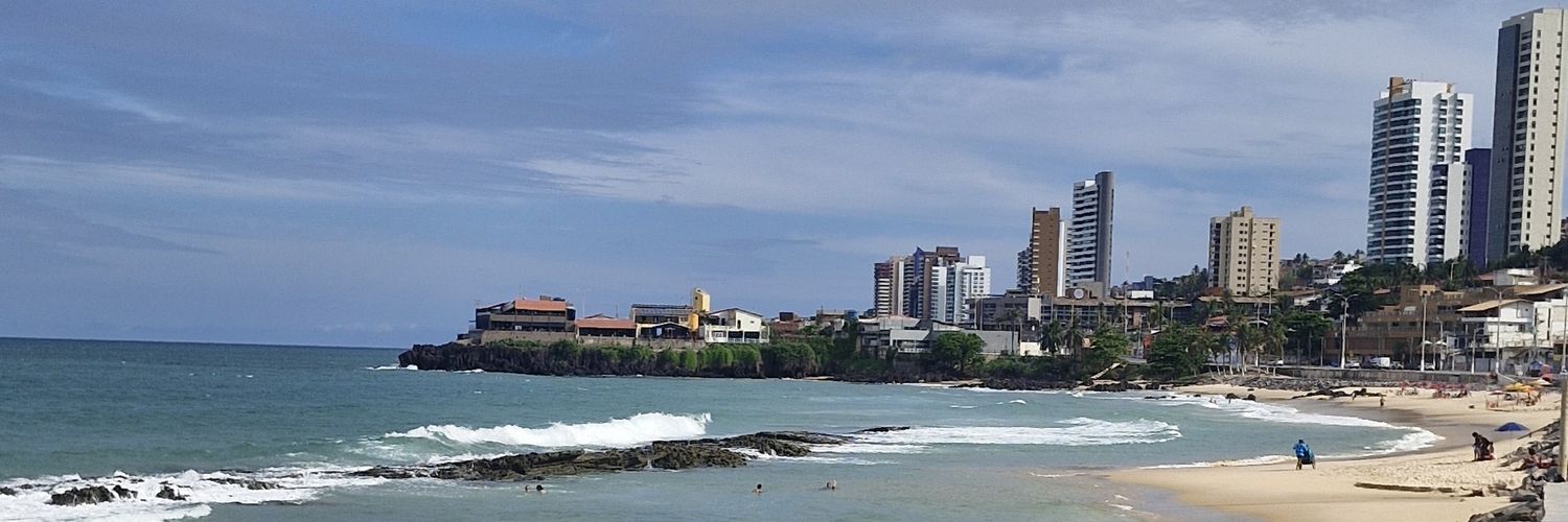 Wellington Leandro banner