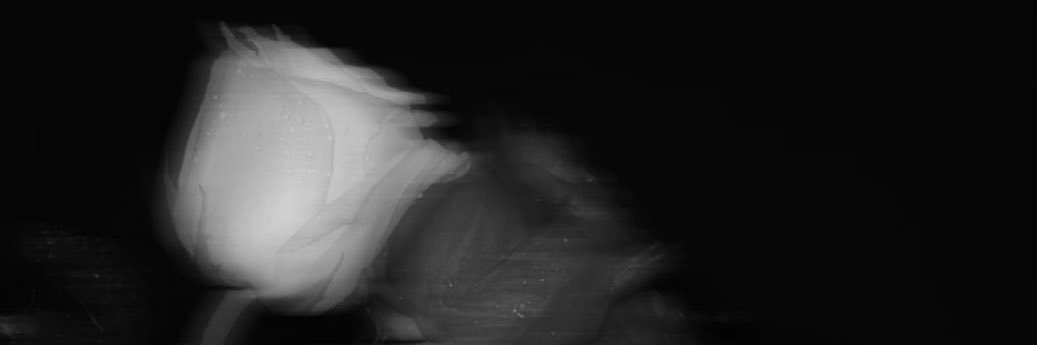 faaaridaaaaaaaa's profile banner image