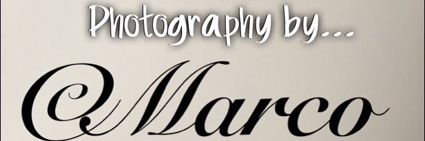 photobymarco's profile banner image