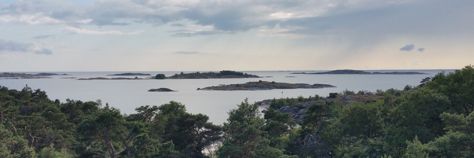magiwesterlund's profile banner image