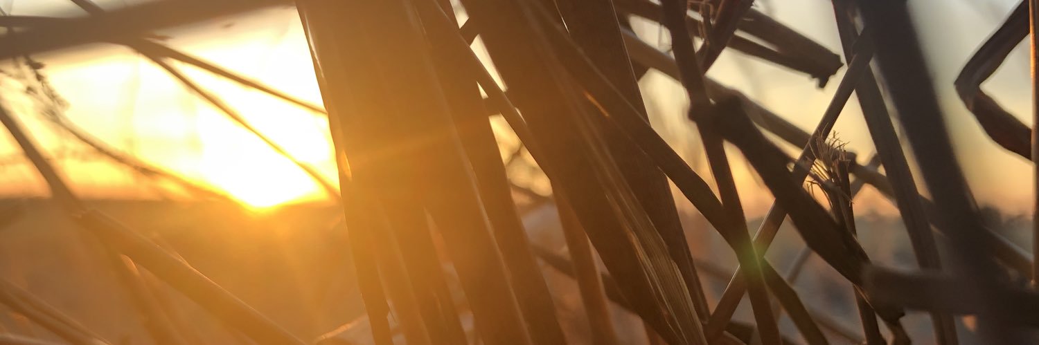 fortun8won's profile banner image