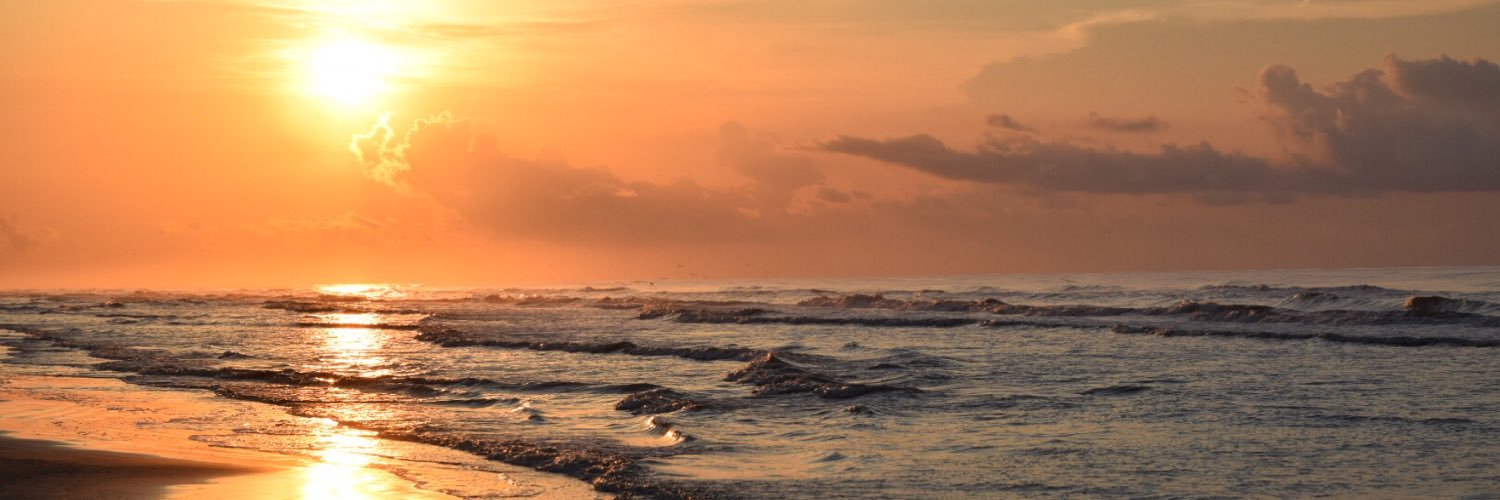chip_otte's profile banner image