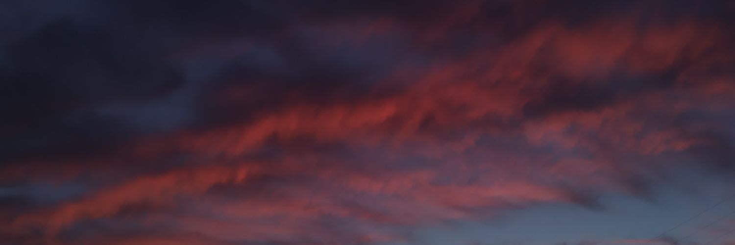 sandrafernadezz's profile banner image
