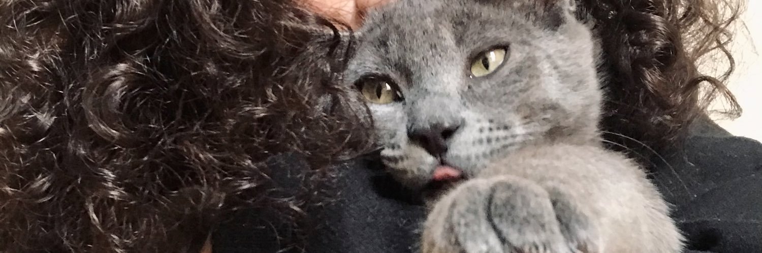 ecedaghannn's profile banner image