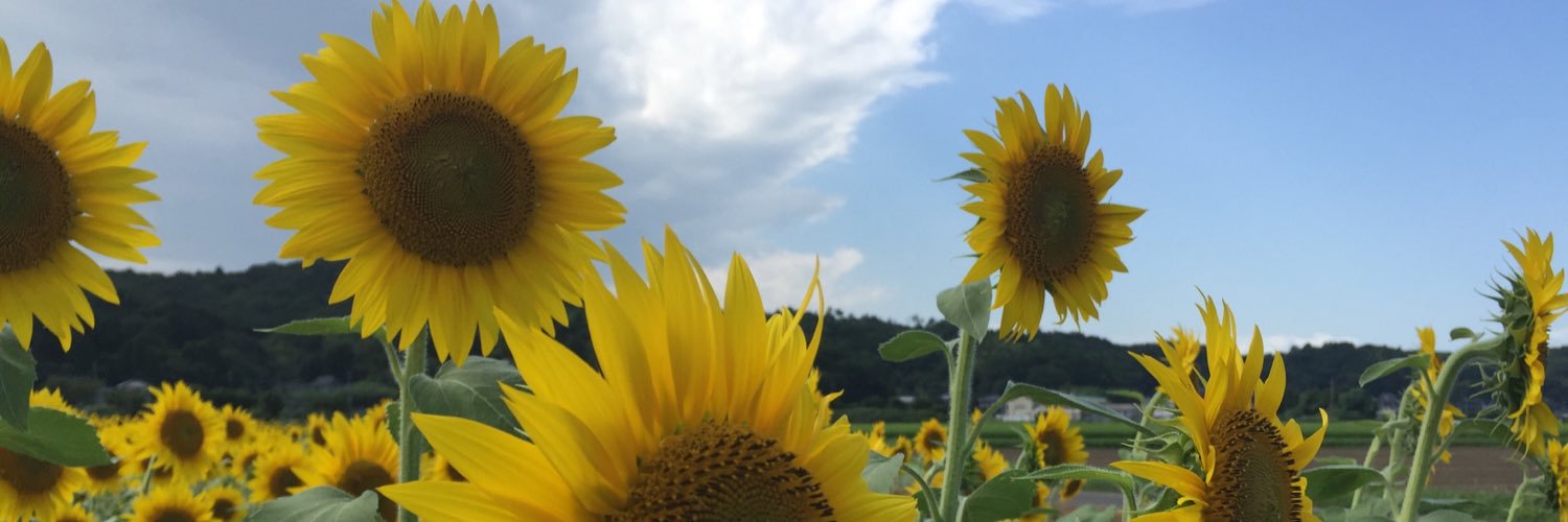 chikaachaaan's profile banner image