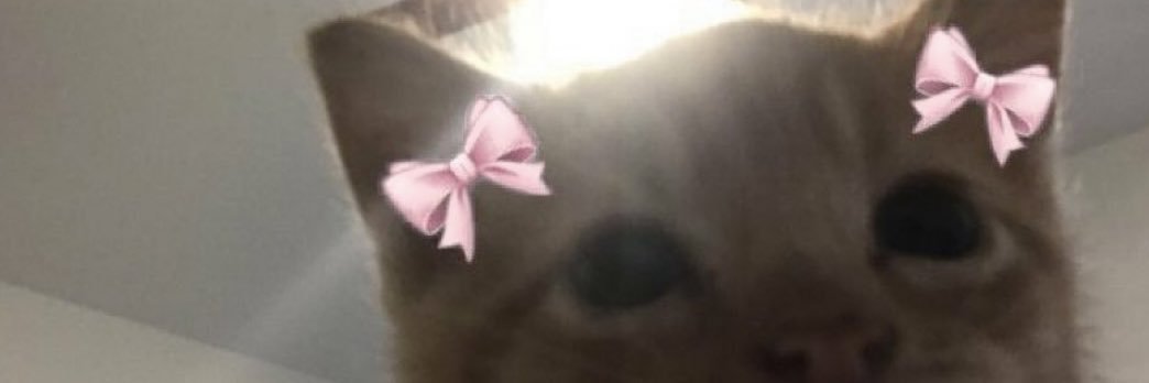 maxinefonsecaa's profile banner image