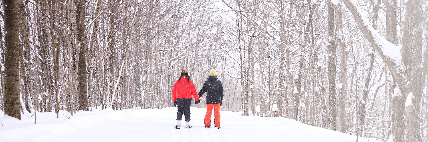 Ontario Government banner