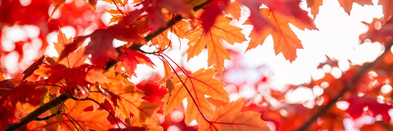 ONgov's profile banner image