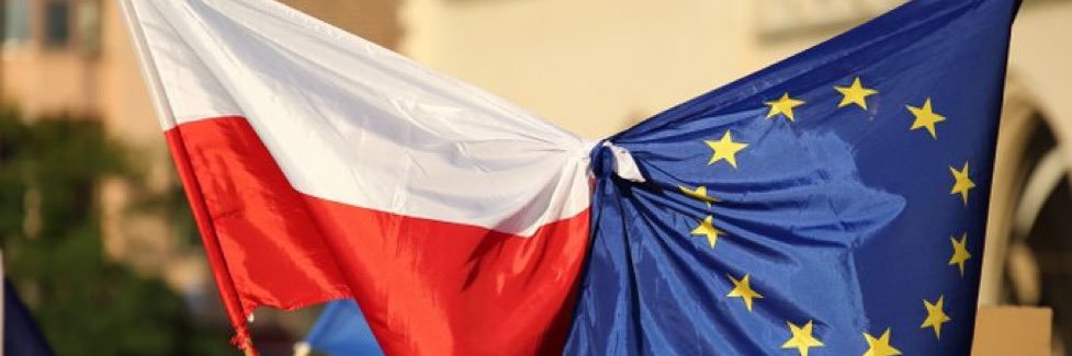 Dariusz Młynarczyk banner