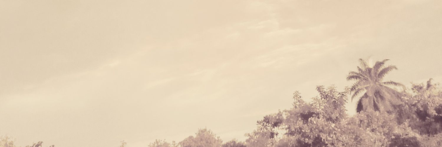 nuttysaint's profile banner image