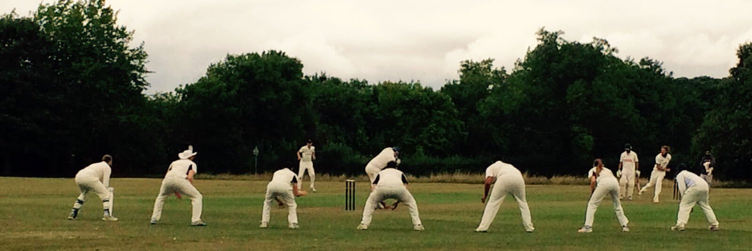Tewin Cricket Club banner