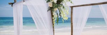 Tulum Living banner