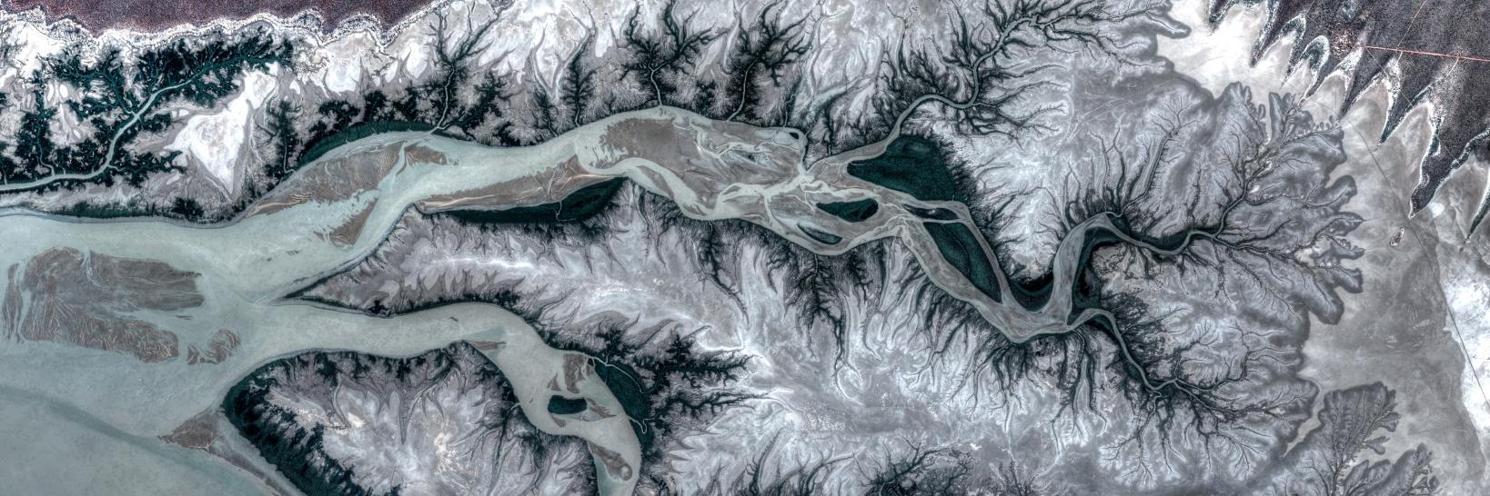 Matt MacInnis banner