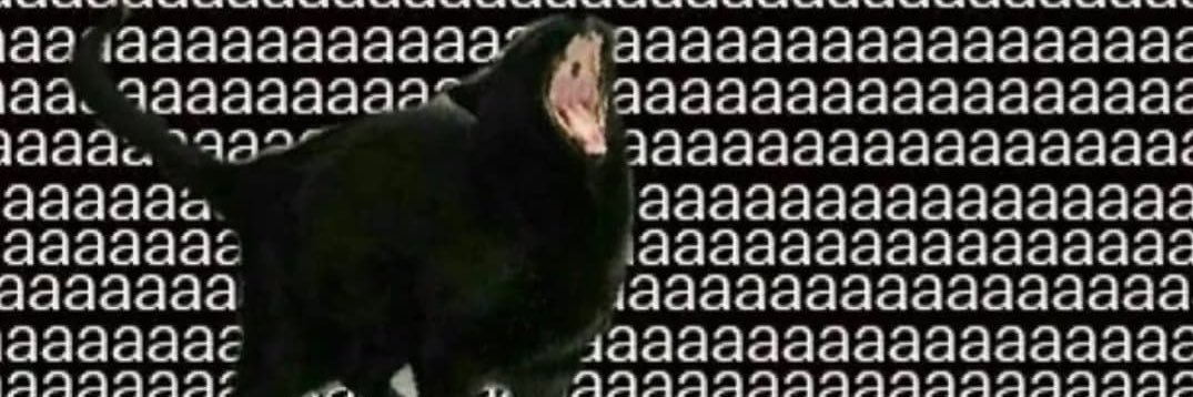 Annie 🧸🩵 banner