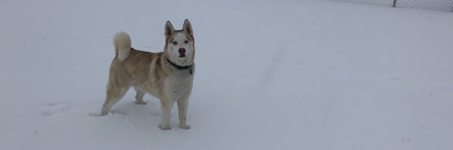 baylenbrus's profile banner image