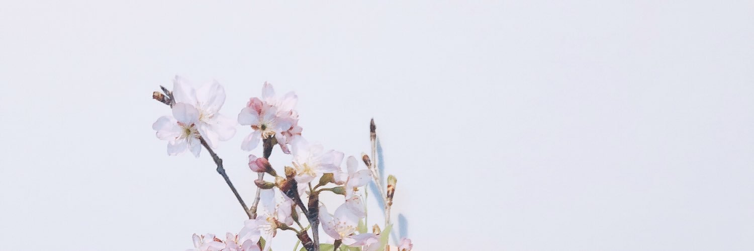 akane941's profile banner image
