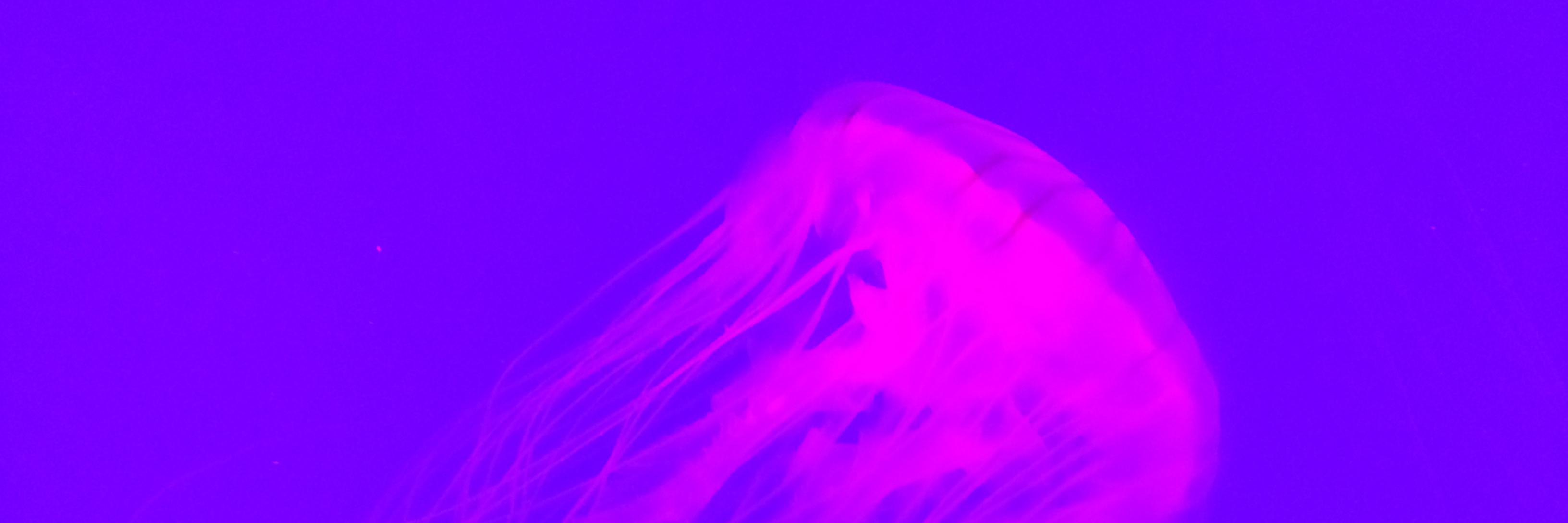 qwertme's profile banner image