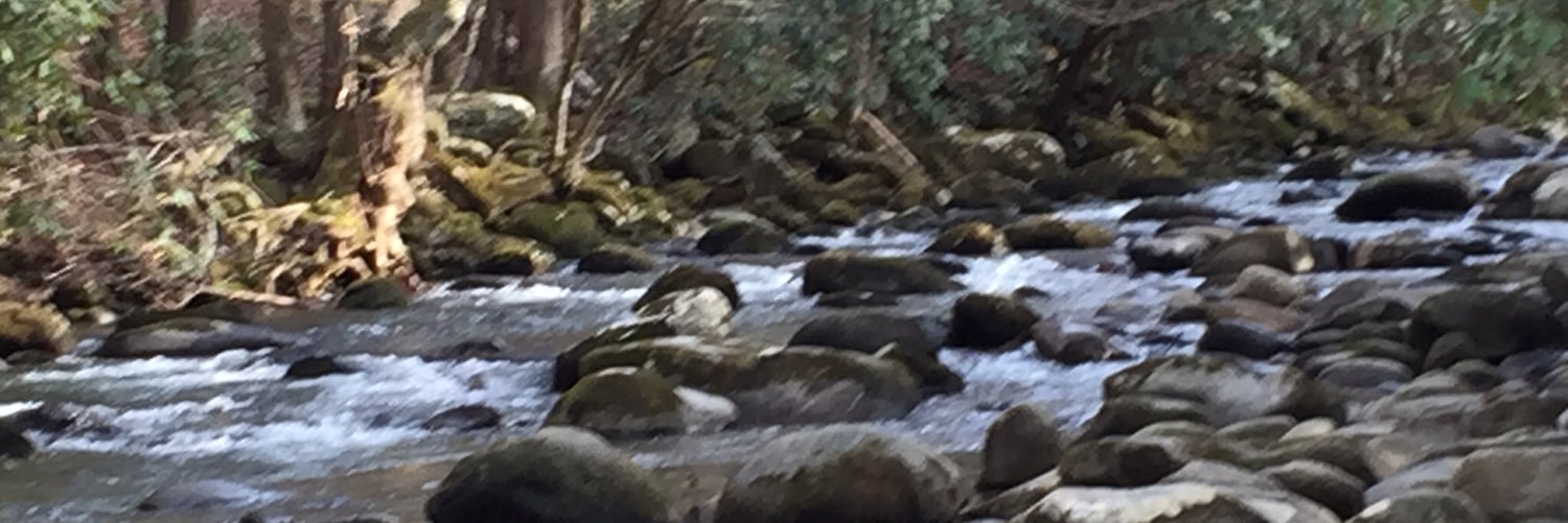 AngelaCoe24's profile banner image